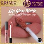 Lip gloss matte